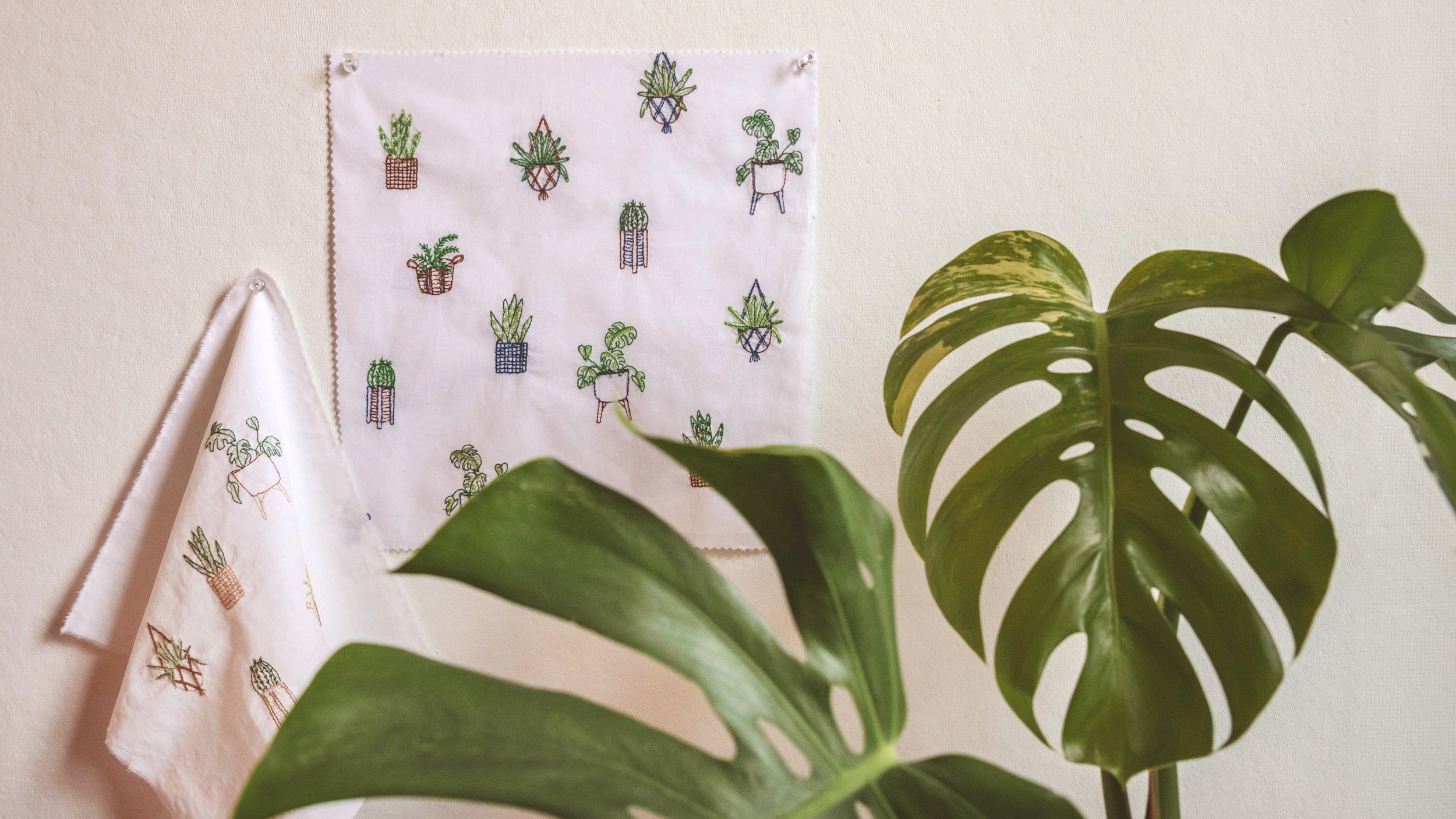 Behind the Print: Houseplants