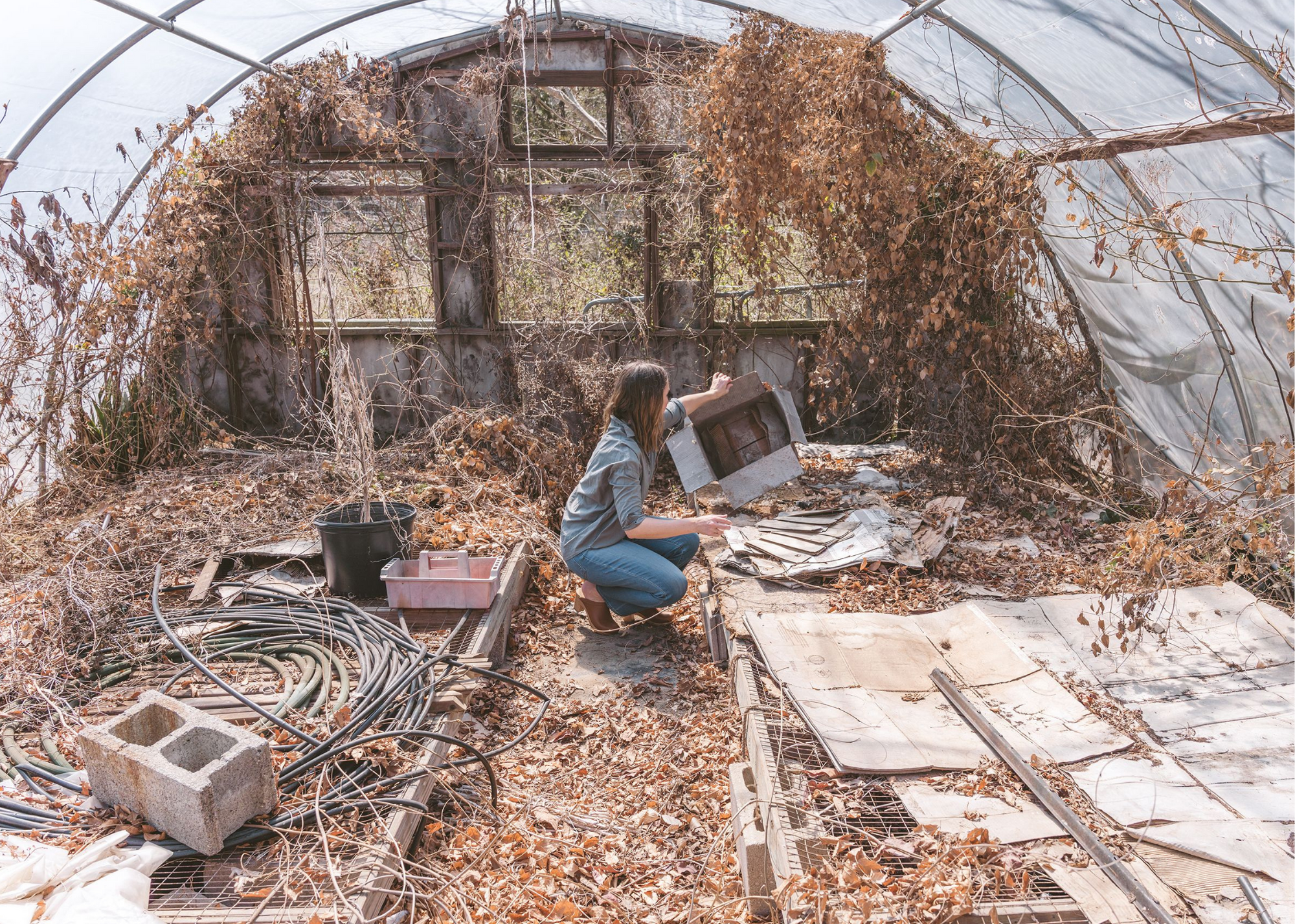 Person kneeling inside a greenhouse surrounded by dried vines, garden equipment, and debris.