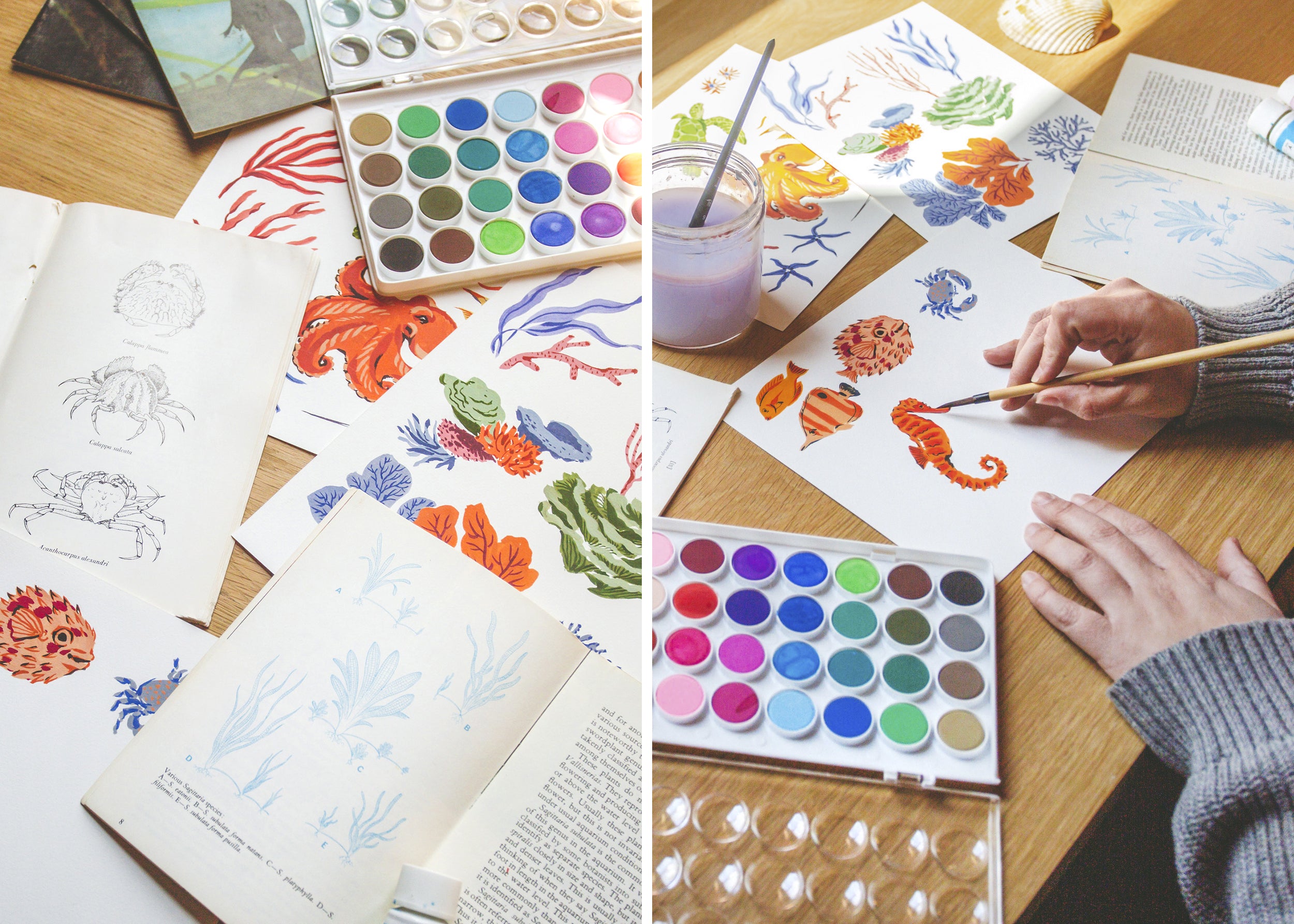 Watercolor palette and marine illustrations beside a person painting a seahorse.