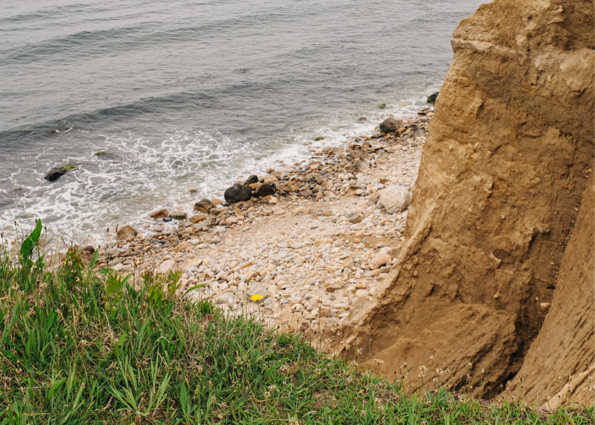 Rocky beach below a steep sandy bluff, viewed from grassy ground above the water.