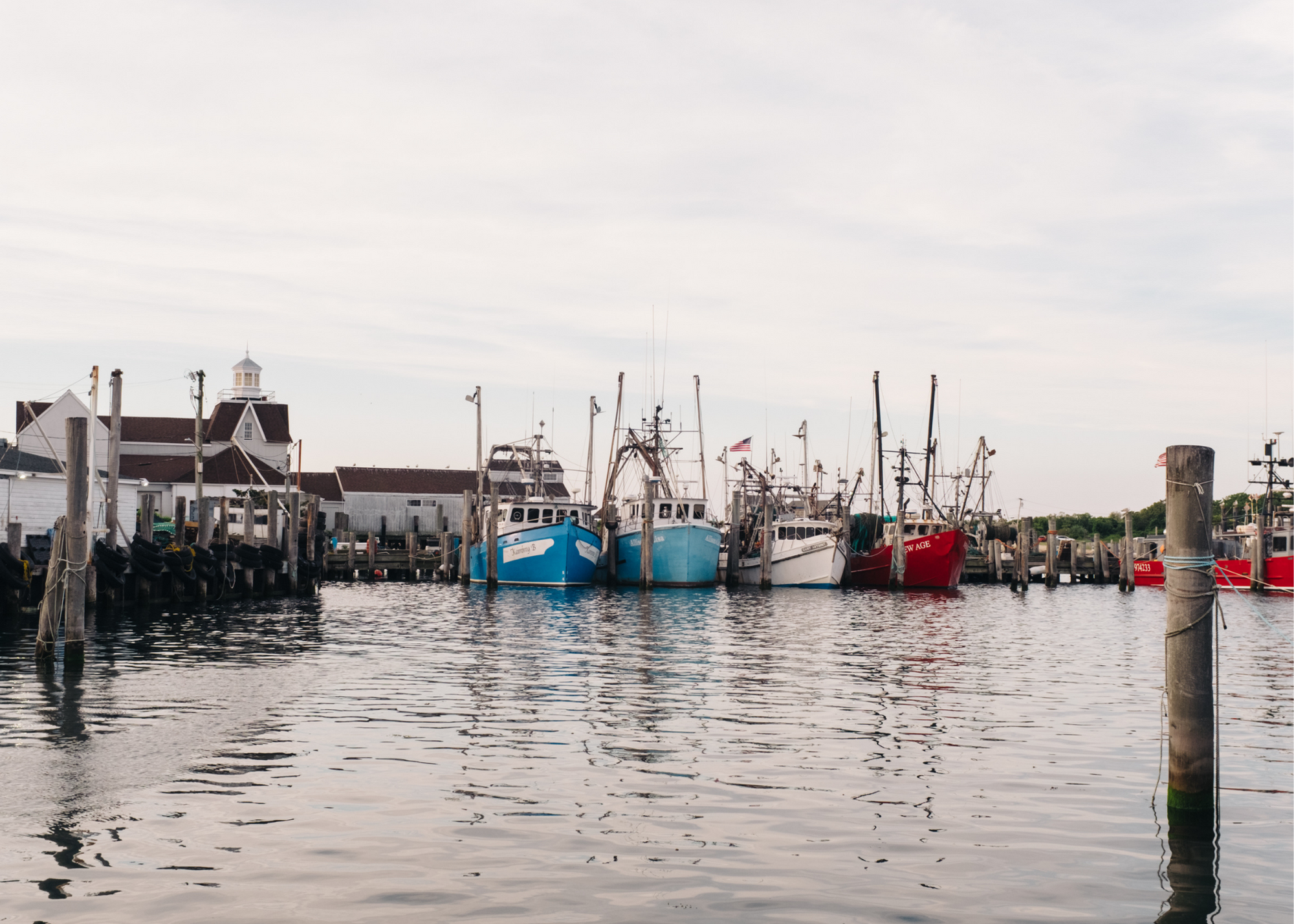 Fishing boats docked in a harbor beside a waterfront building.